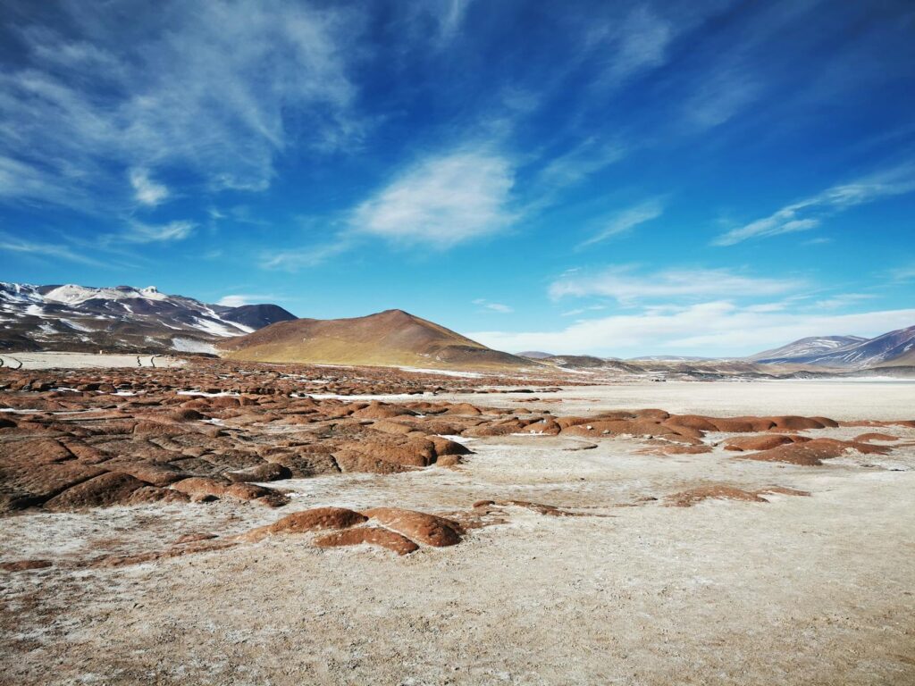 pexels photo 14266481