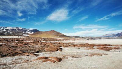 pexels photo 14266481