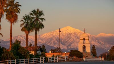 pexels photo 15805131