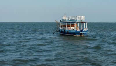 pexels photo 28469741 12