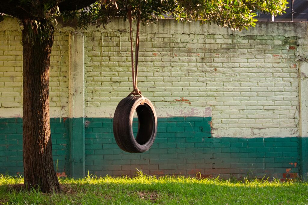 pexels photo 36141826