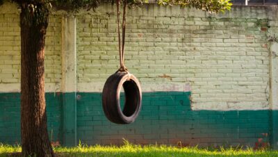 pexels photo 36141826