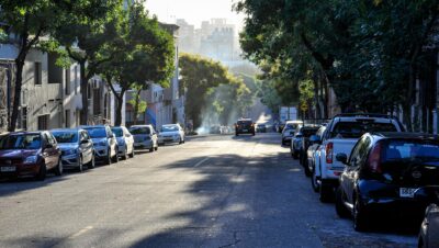 pexels photo 36413304