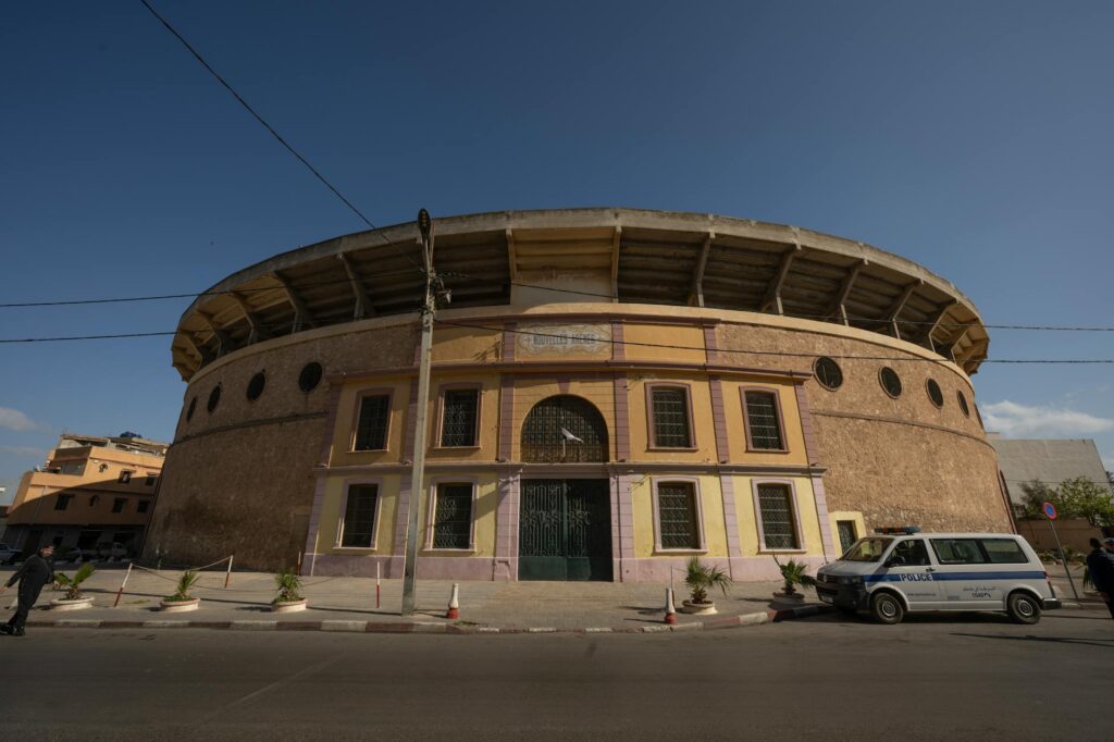 pexels photo 36725500