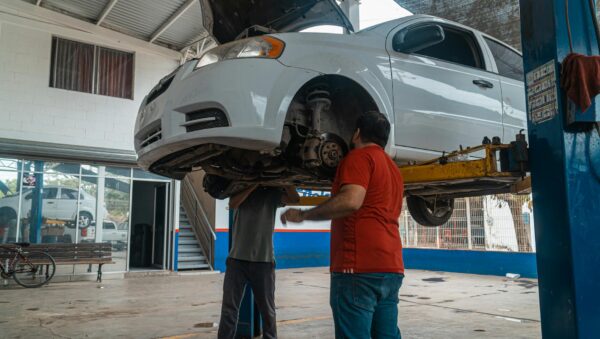 pexels photo 4116169