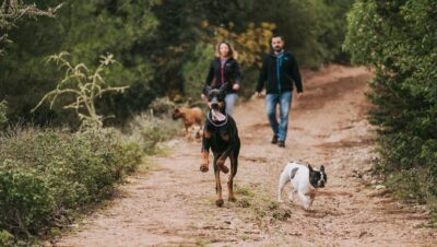 pexels photo 5938158