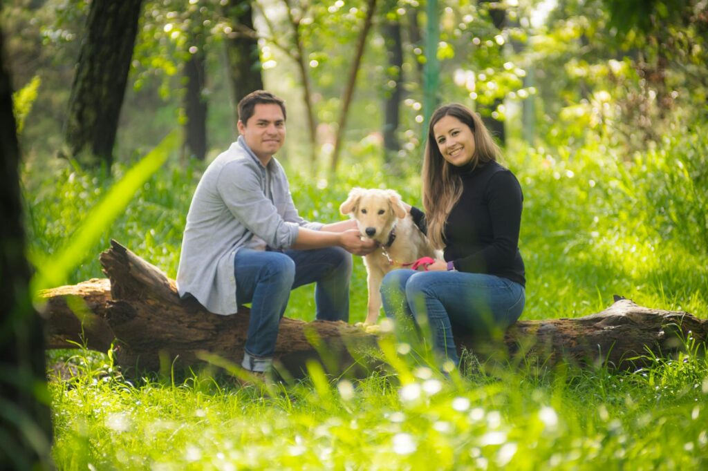 pexels photo 6189733