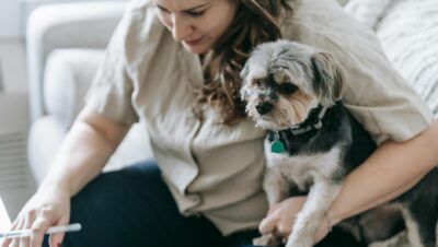 pexels photo 7282636